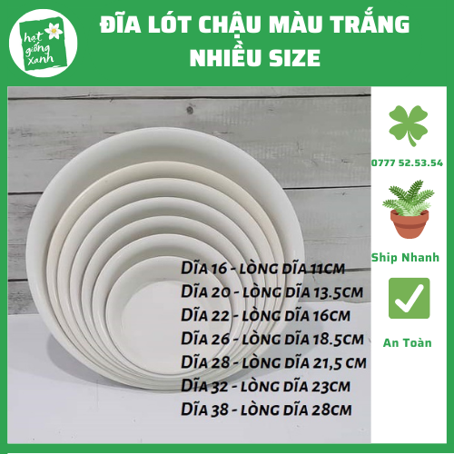 Đĩa Lót pi16