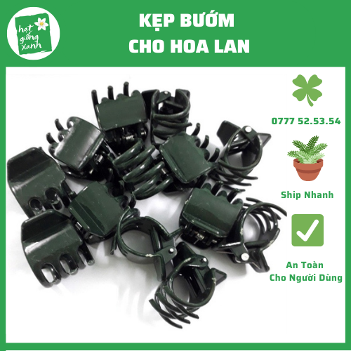 20 Kẹp Hình Bướm Hoa Lan Và Cây Cảnh
