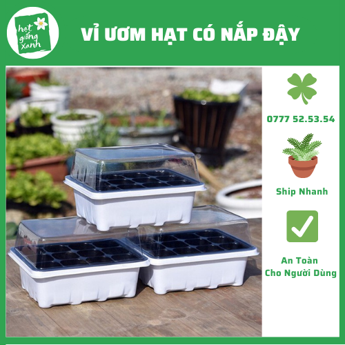 Khay Ươm 12 Lỗ Có Nắp Đậy