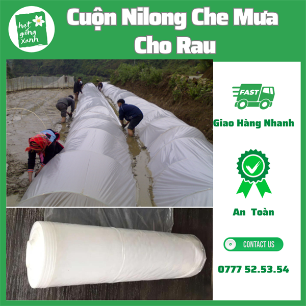Màng Che Mưa Nilong 2 Lớp, Khổ Ngang 1.2m