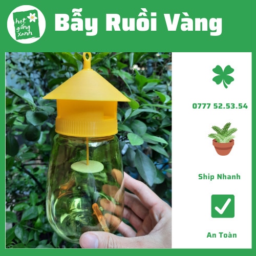 Bộ Bình Bẫy Ruồi Vàng + Mồi