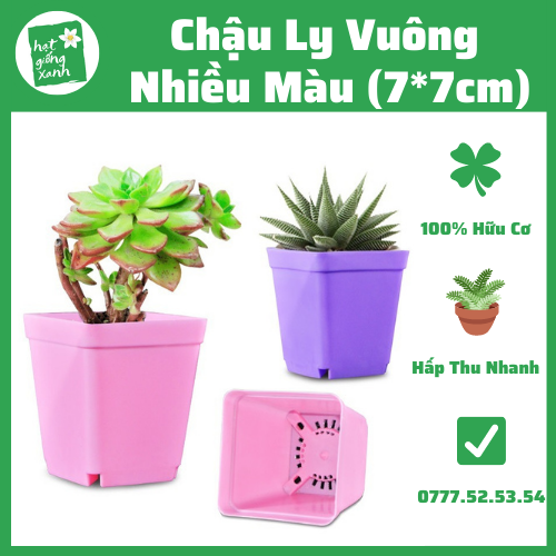 Chậu Ly Vuông Nhiều Màu( 7*7cm)