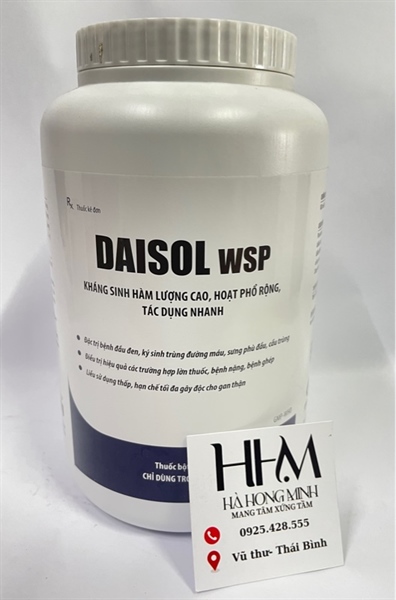 Daisol WSP 1kg (10x1) (KST)