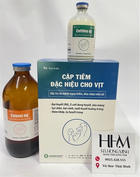 TYX- CẶP TIÊM VỊT ceftifen 500ml