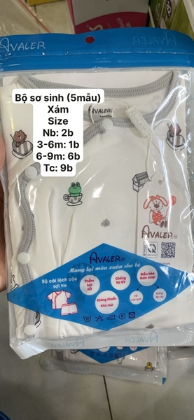 Avaler Bộ ngắn ss CL họa tiết - Xám