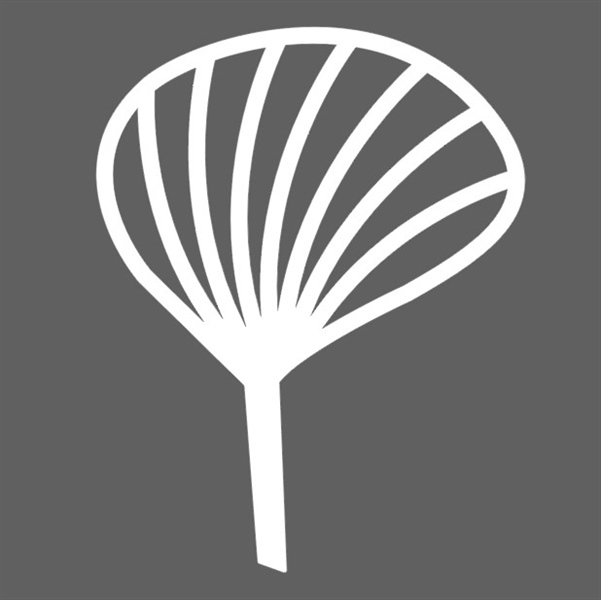 Họa Tiết Trang Trí