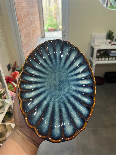 ĐĨA BẦU DỤC GÂN HỎA BIẾN XANH