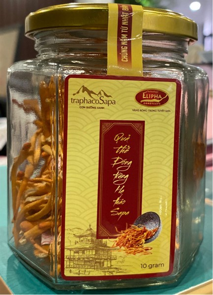 Quả thể đông trùng hạ thảo Sapa khô 10gram - Traphaco