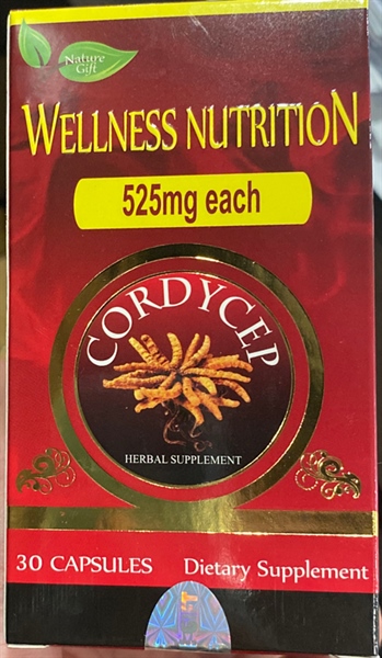 Đông trùng hạ thảo Wellness nutrition (Lọ 30 viên) - Mỹ