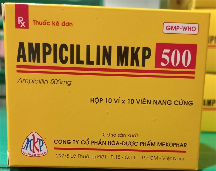 Thuốc Ampixilin 500mg (H*10vỉ*10viên) - Mekophar