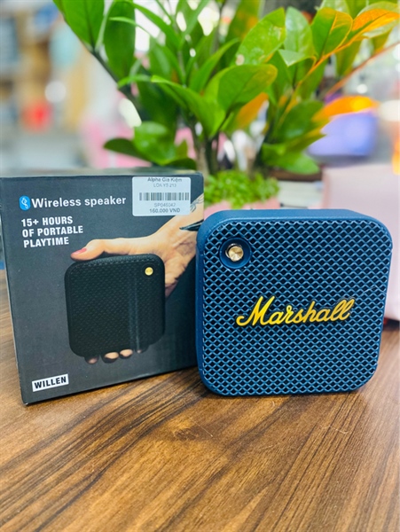 LOA BLUETOOTH MARSHALL WILLEN