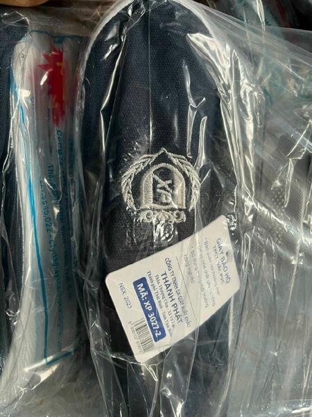 Giầy lười Asian