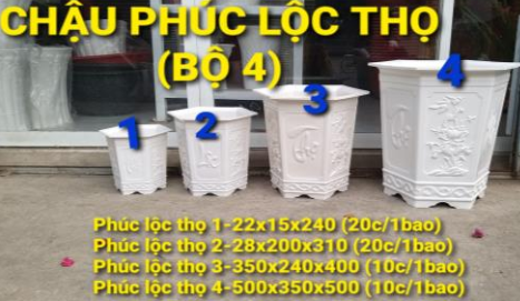 Chậu lục giác phúc lộc thọ 4 (Lớn nhất)