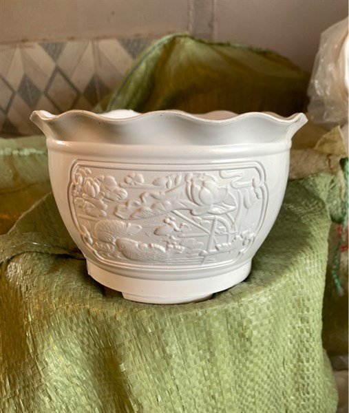 Chậu Uyên Ương 480