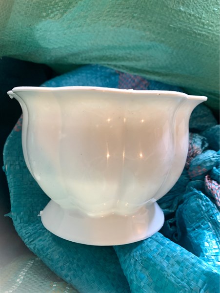 Chậu trái bí 170