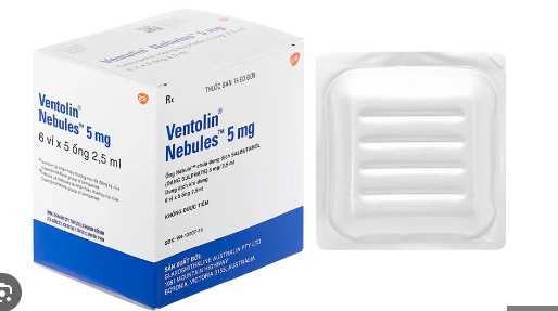 Ventolin nabules 5mg/2,5mg (H/30ống)