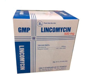 Lincomycin 500 mg Nghệ An (H/100v)